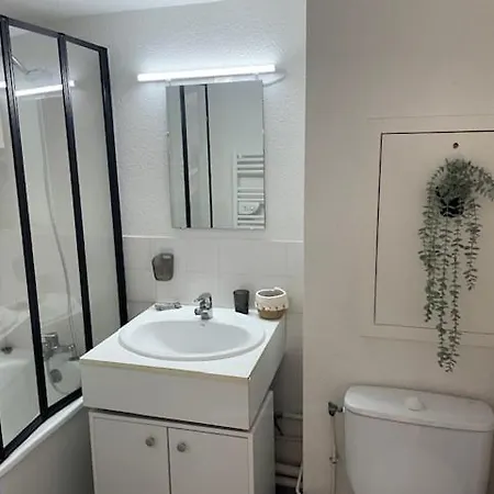 Cosy, Ile Verte, Chu Grenoble, Faculte * Grenoble