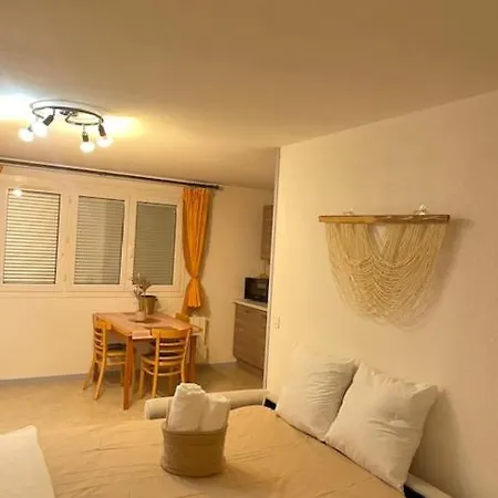 Cosy, Ile Verte, Chu Grenoble, Faculte Apartman